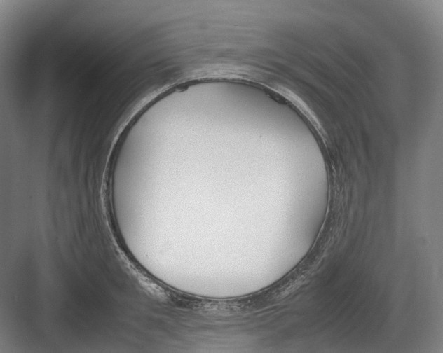 X0000082150901200702162205