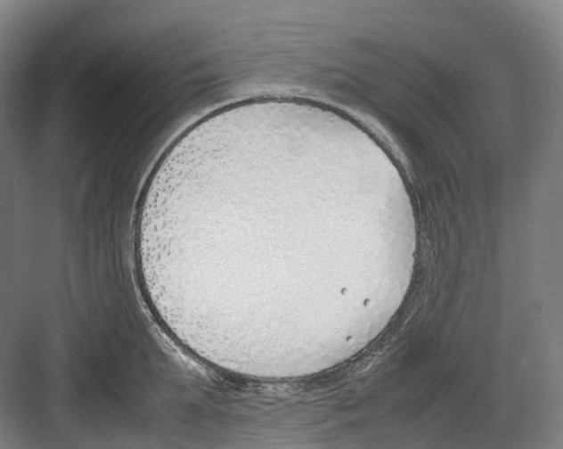 X0000082150903200702162205