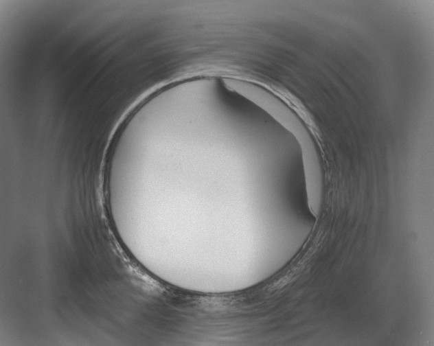 X0000082150904200702162205