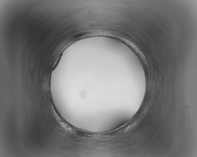 X0000082150905200702162205