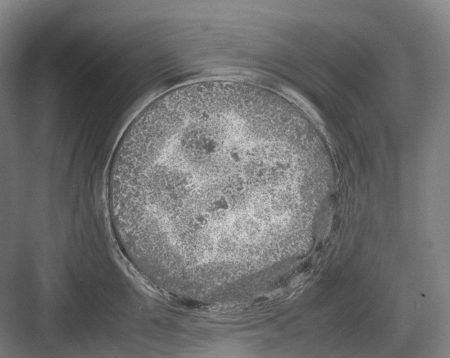 X0000082150907200702162205