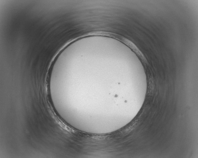 X0000082150908200702162205