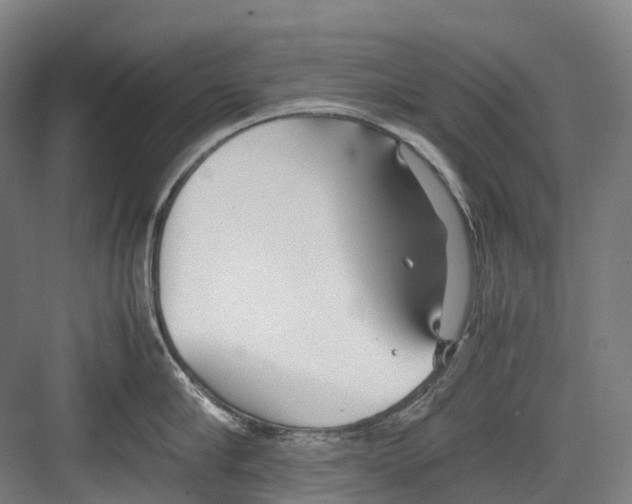 X0000082150910200702162205