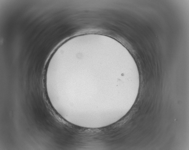 X0000082150912200702162205