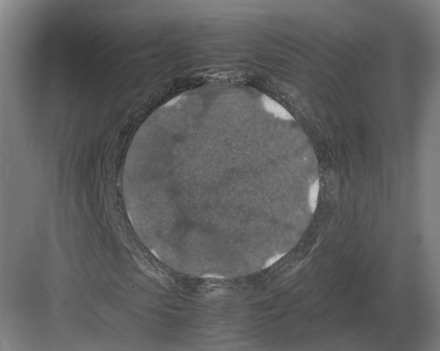 X0000082150913200702162204