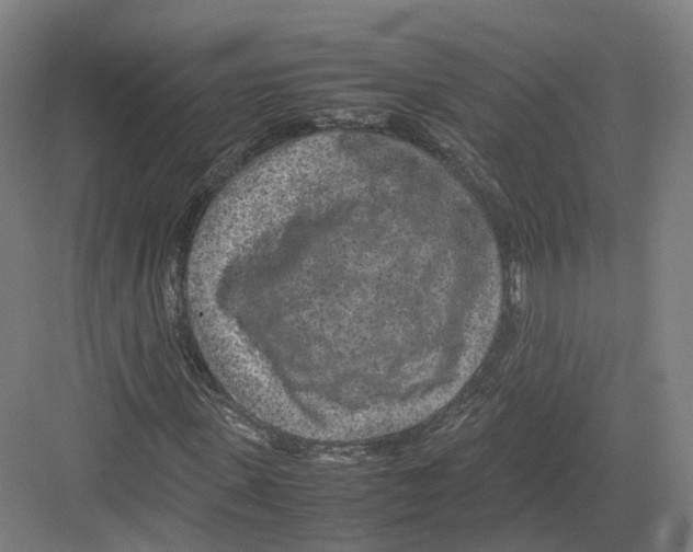 X0000082150915200702162204