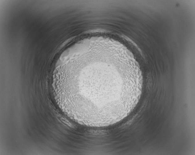 X0000082150921200702162204