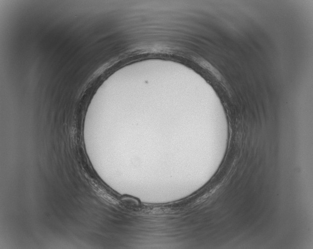 X0000082150922200702162205