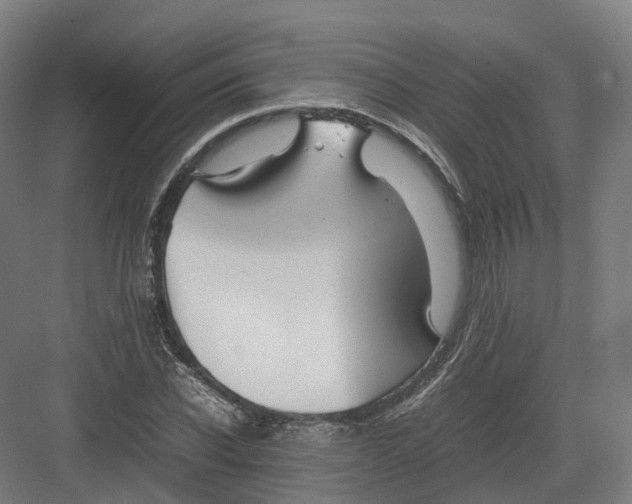 X0000082150926200702162205