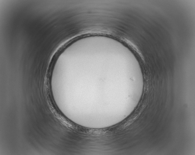 X0000082150928200702162205