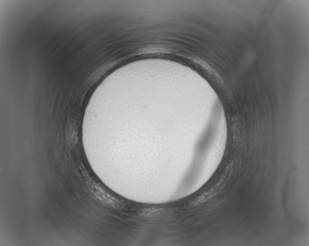 X0000082150929200702162205