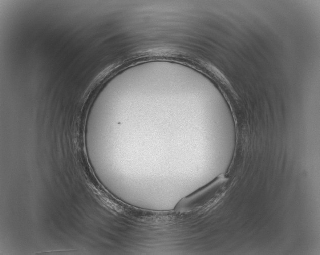 X0000082150930200702162205