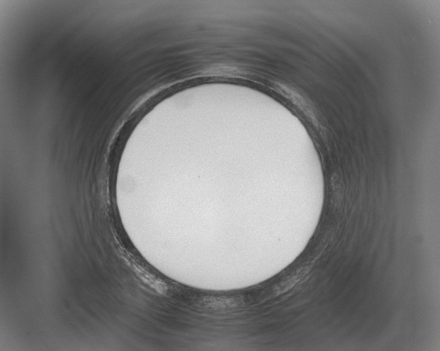 X0000082150931200702162205