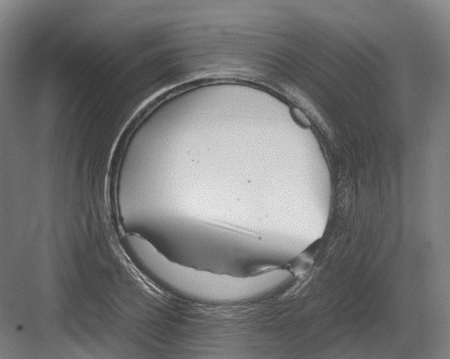 X0000082150932200702162205