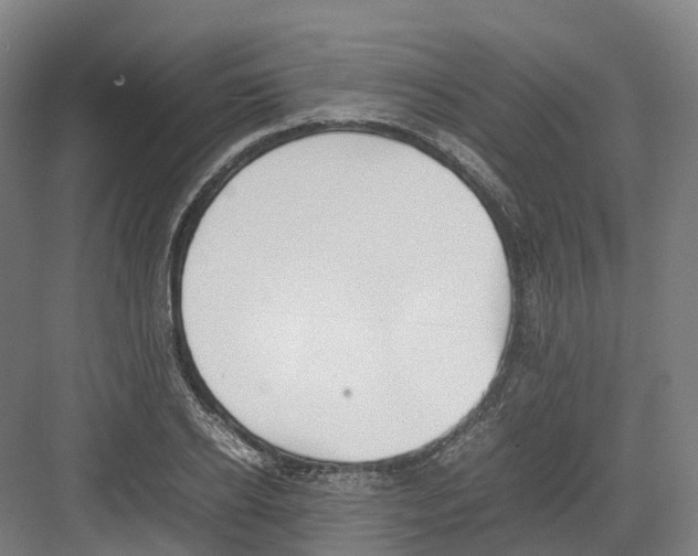 X0000082150934200702162205