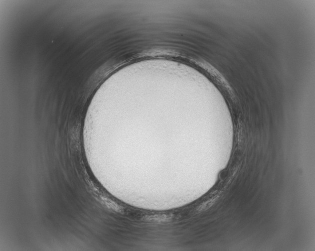 X0000082150937200702162205