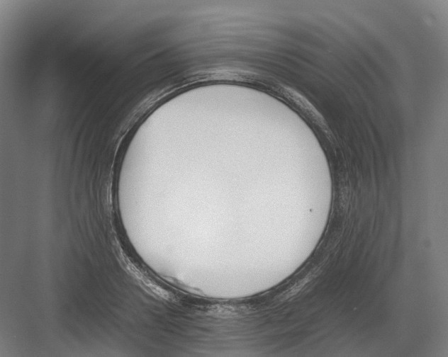 X0000082150938200702162205