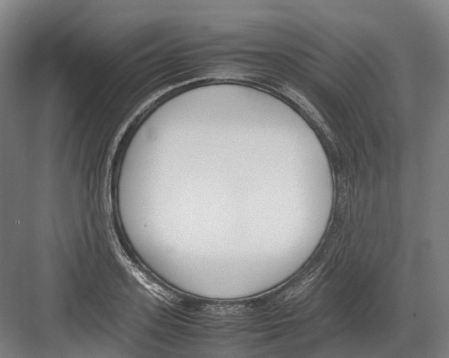 X0000082150939200702162205