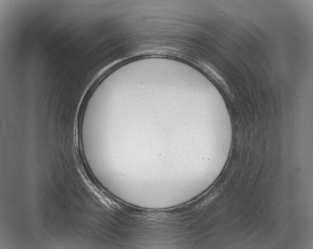 X0000082150940200702162205