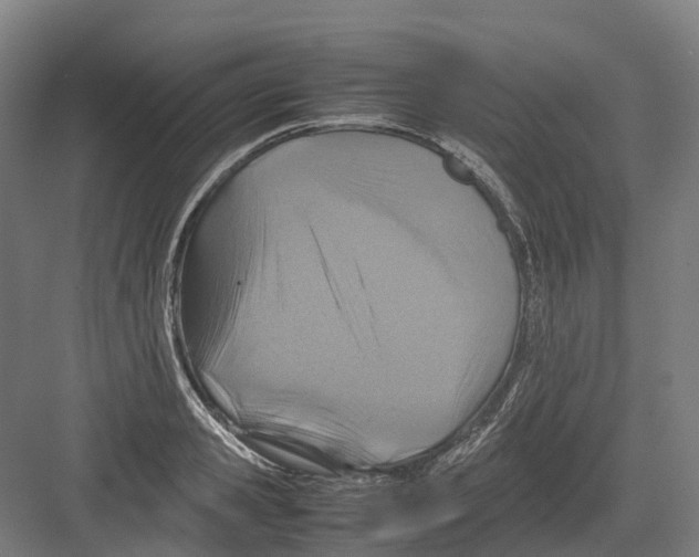 X0000082150941200702162205