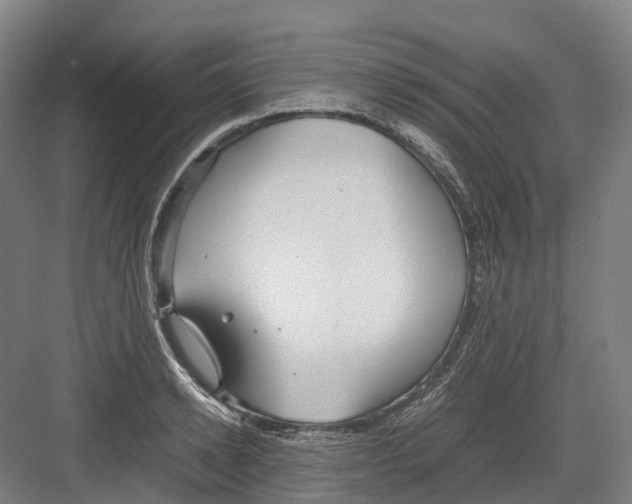 X0000082150942200702162205