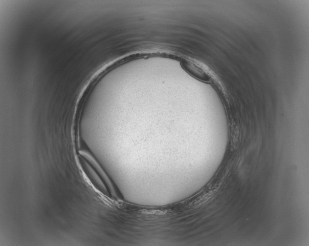 X0000082150943200702162205