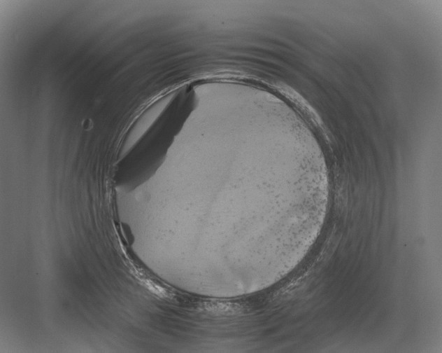 X0000082150945200702162205