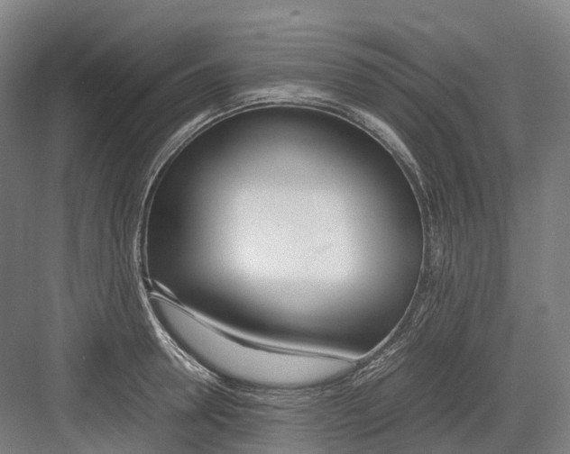 X0000082150946200702162205