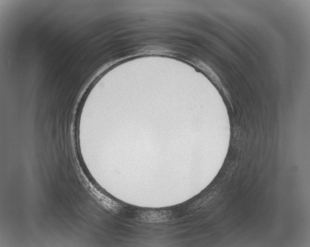 X0000082150947200702162205