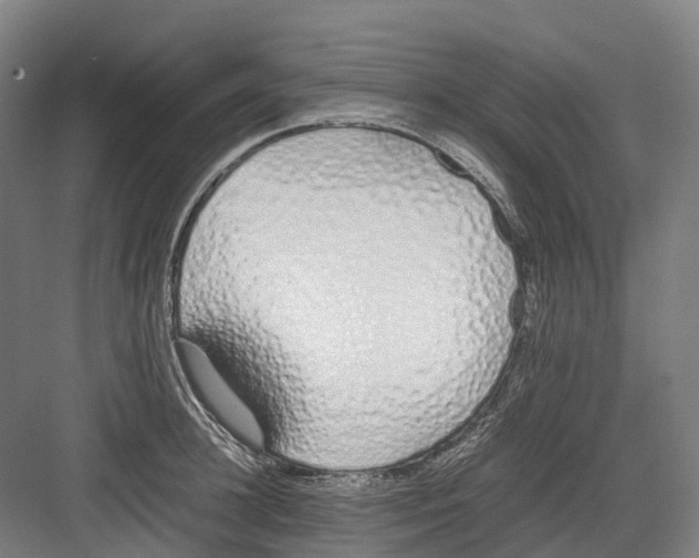 X0000082150948200702162205