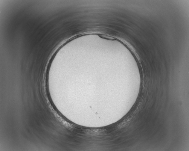 X0000082150949200702162205