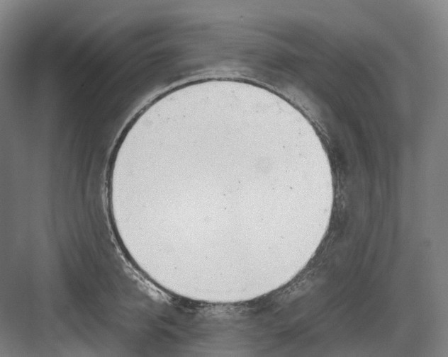 X0000082150950200702162205