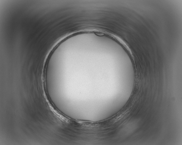 X0000082150951200702162205