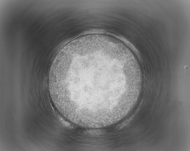 X0000082150953200702162205