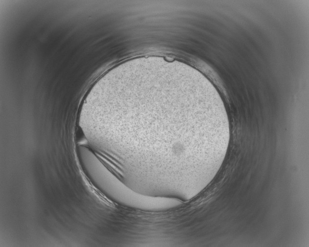 X0000082150954200702162205