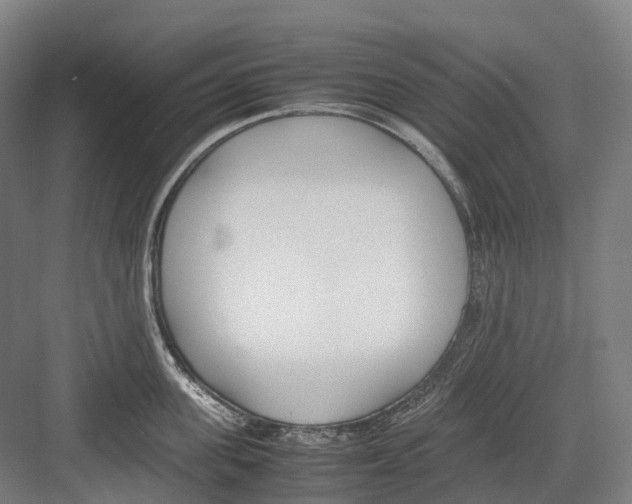 X0000082150955200702162205