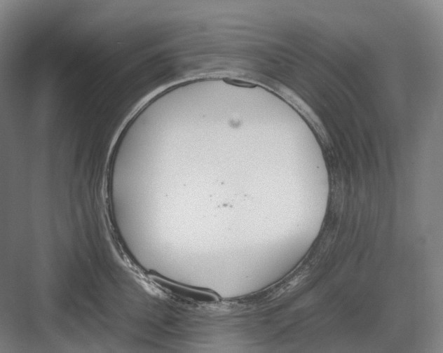 X0000082150956200702162205