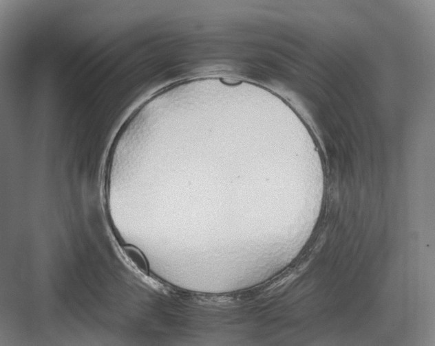 X0000082150957200702162205