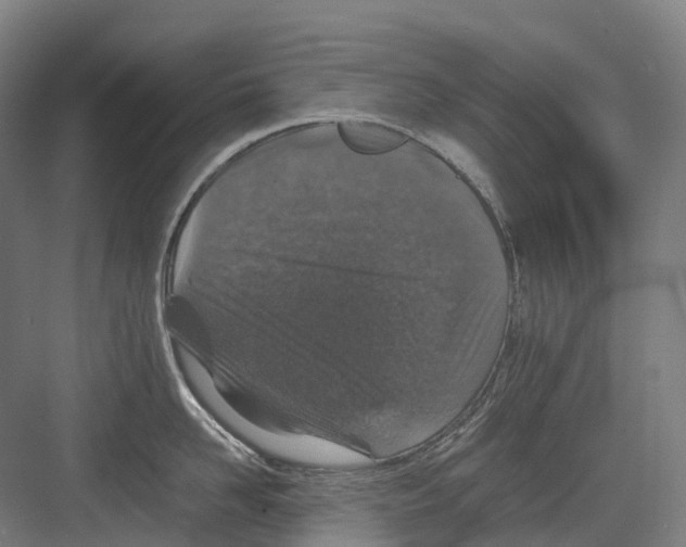 X0000082150958200702162205