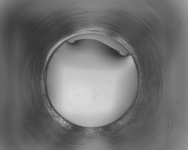 X0000082150960200702162205