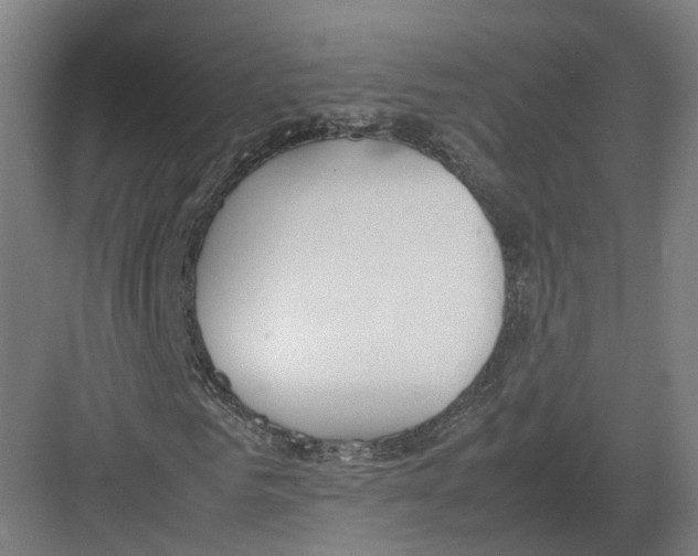 X0000082150961200702162204