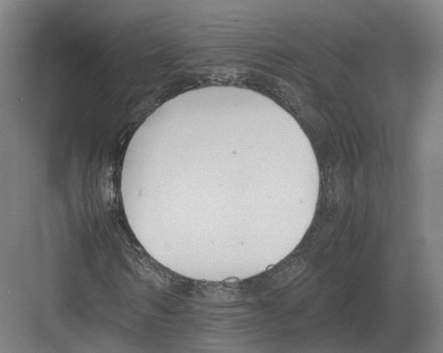 X0000082150962200702162204