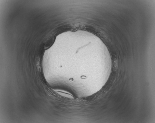 X0000082150963200702162204