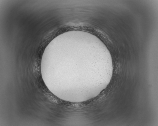 X0000082150966200702162204