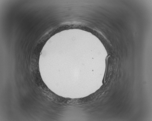 X0000082150967200702162204