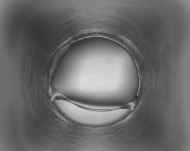 X0000082150969200702162204