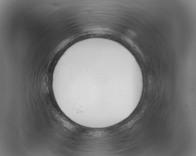 X0000082150970200702162204