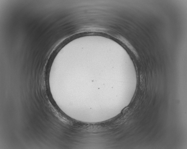 X0000082150972200702162204