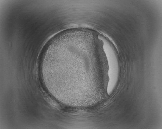 X0000082150975200702162204