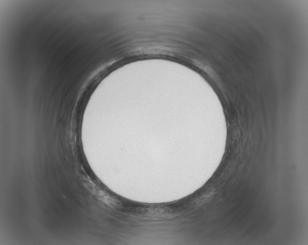 X0000082150979200702162204